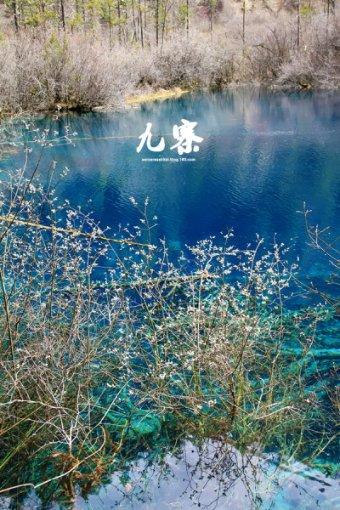 豆腐花的做法和配方是怎样的？游戏画面